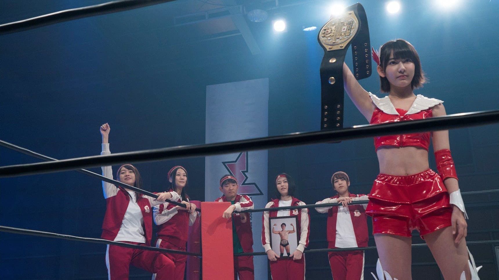 豆腐プロレス