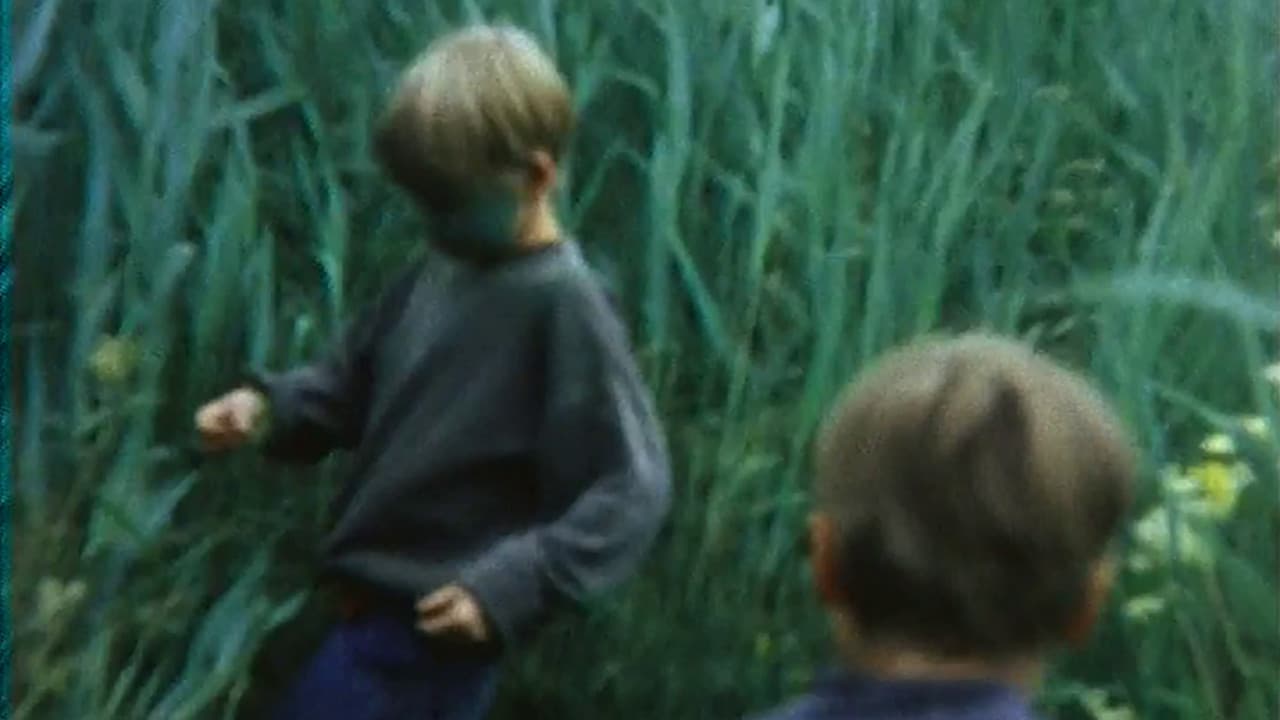 Das fliegende Bild