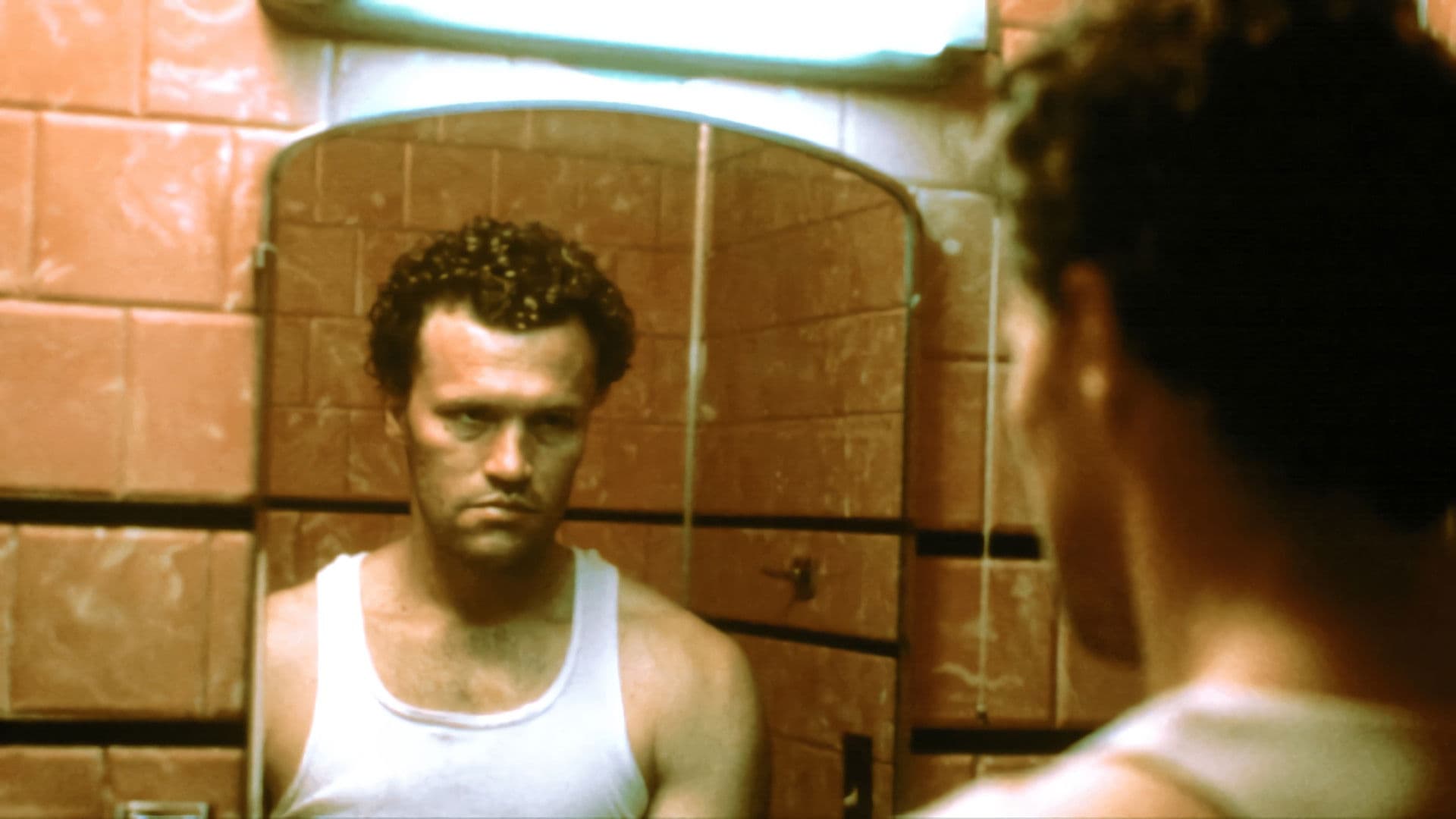 Henry: Retrato de un asesino - Colección