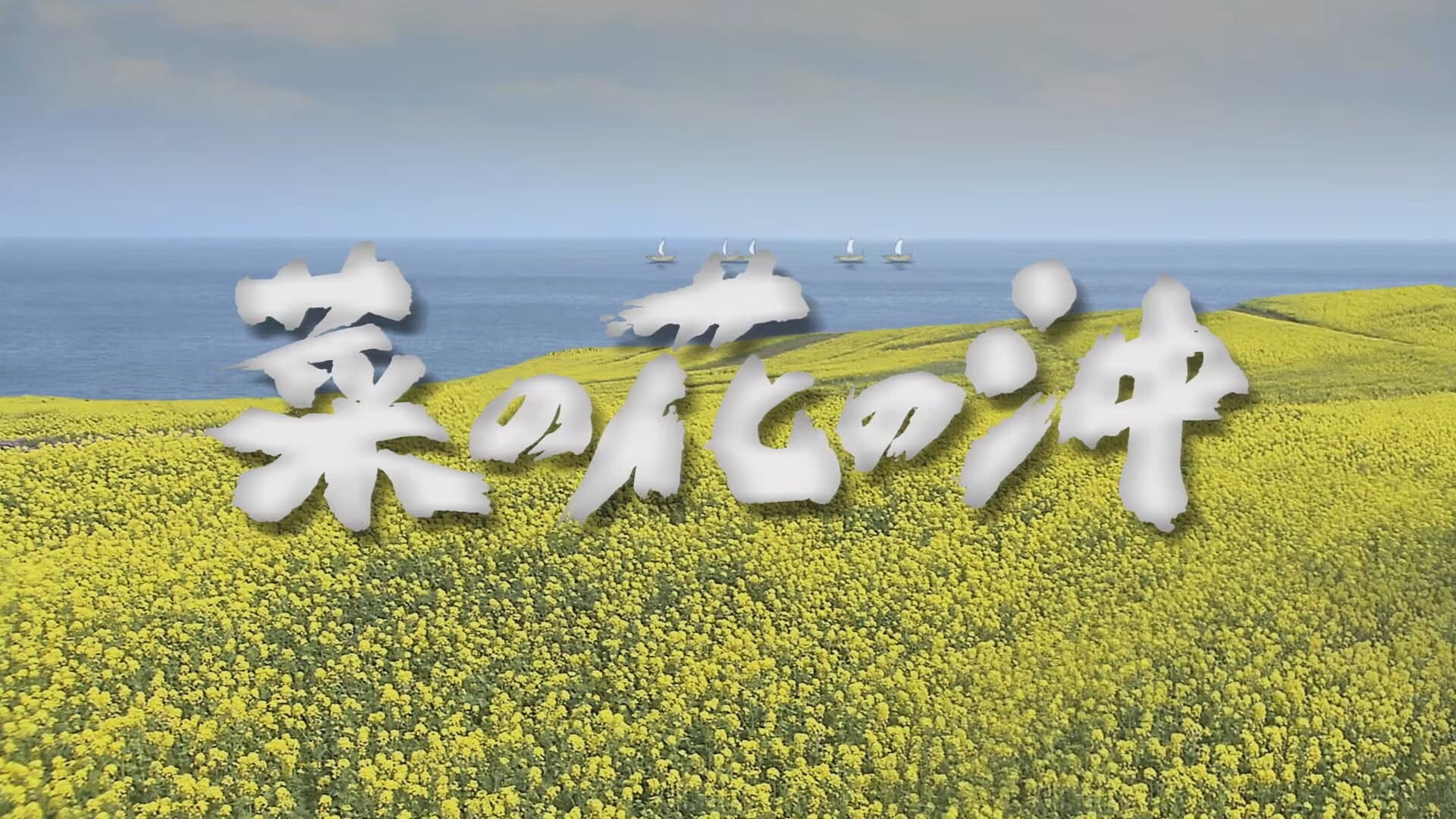 菜の花の沖