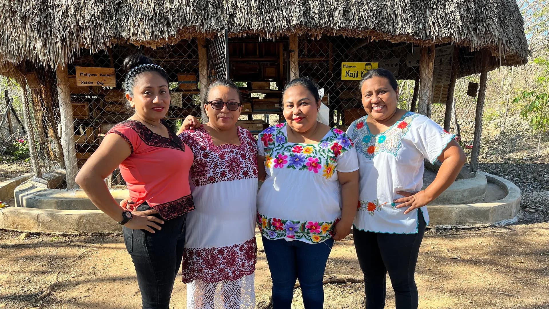 Die Honigfrauen von Yucatán - Las damas de la miel