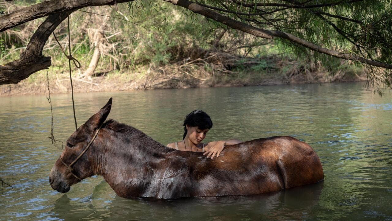 La arriera