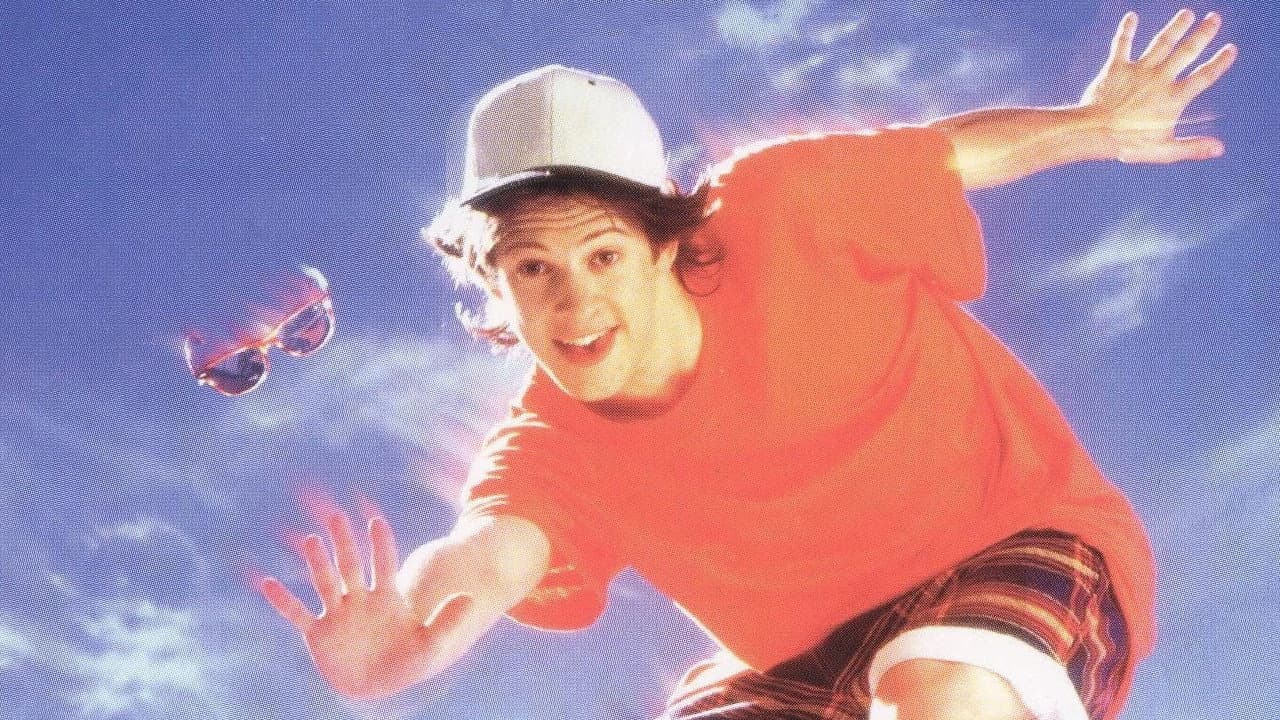 The Skateboard Kid Collection