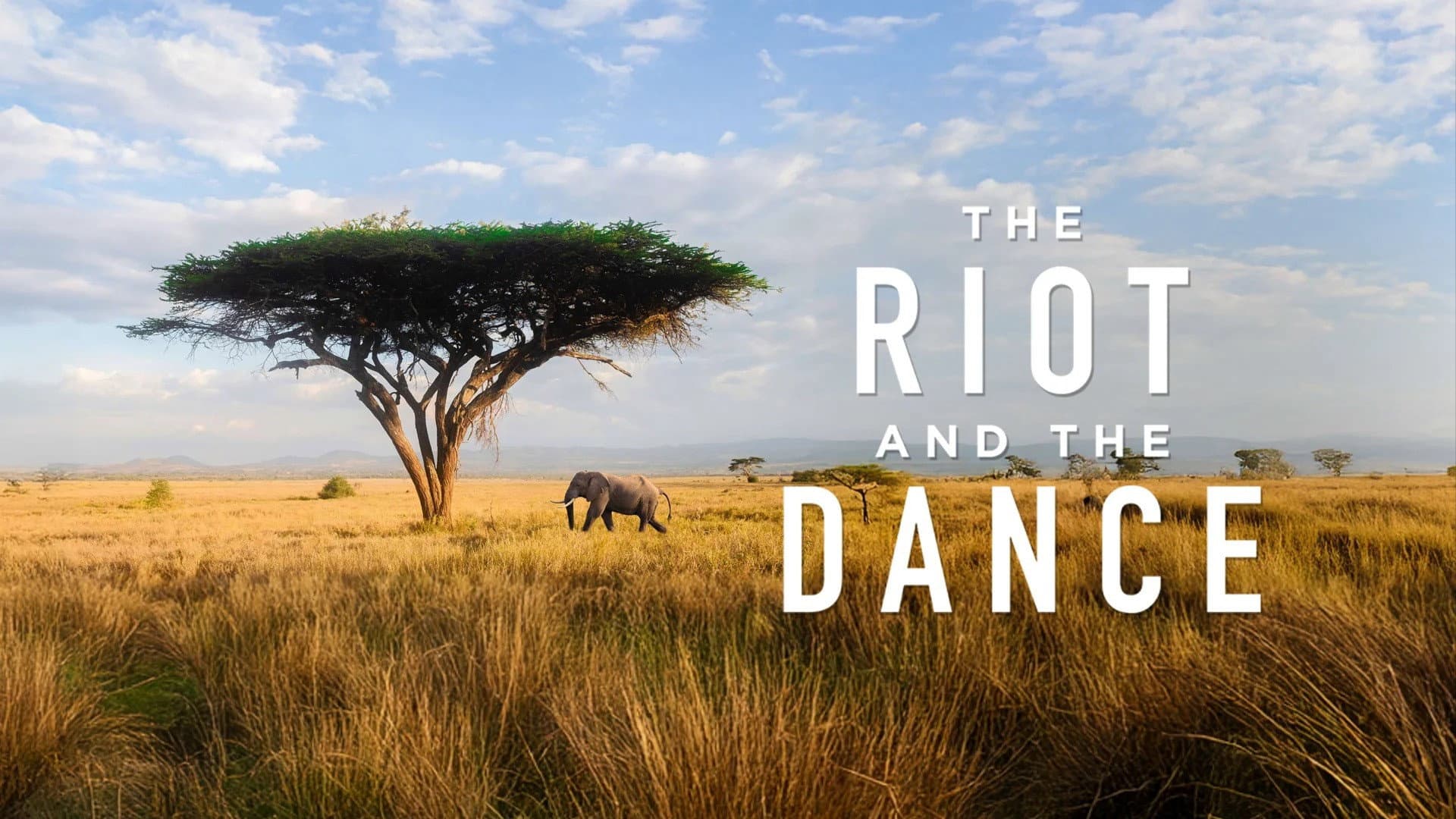 The Riot and the Dance