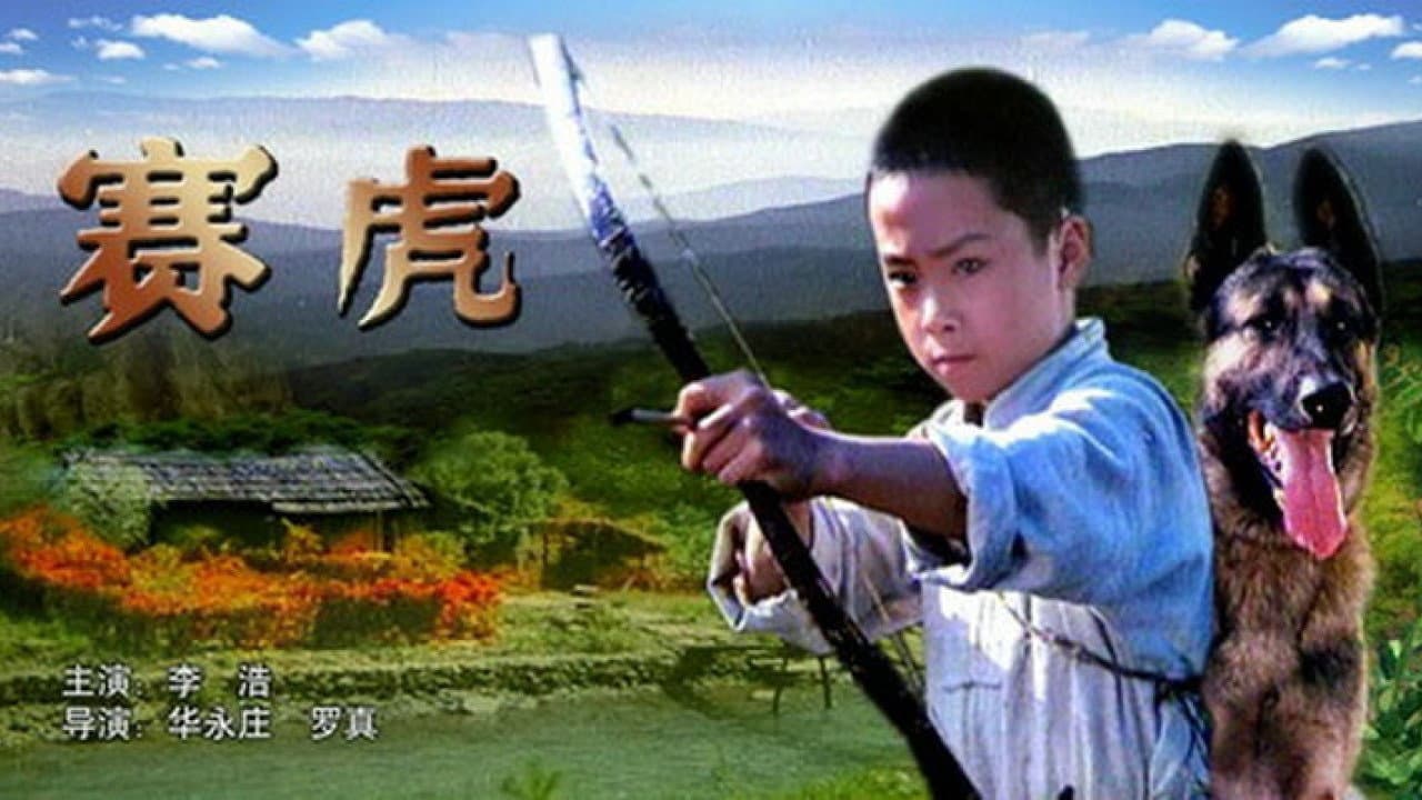 赛虎