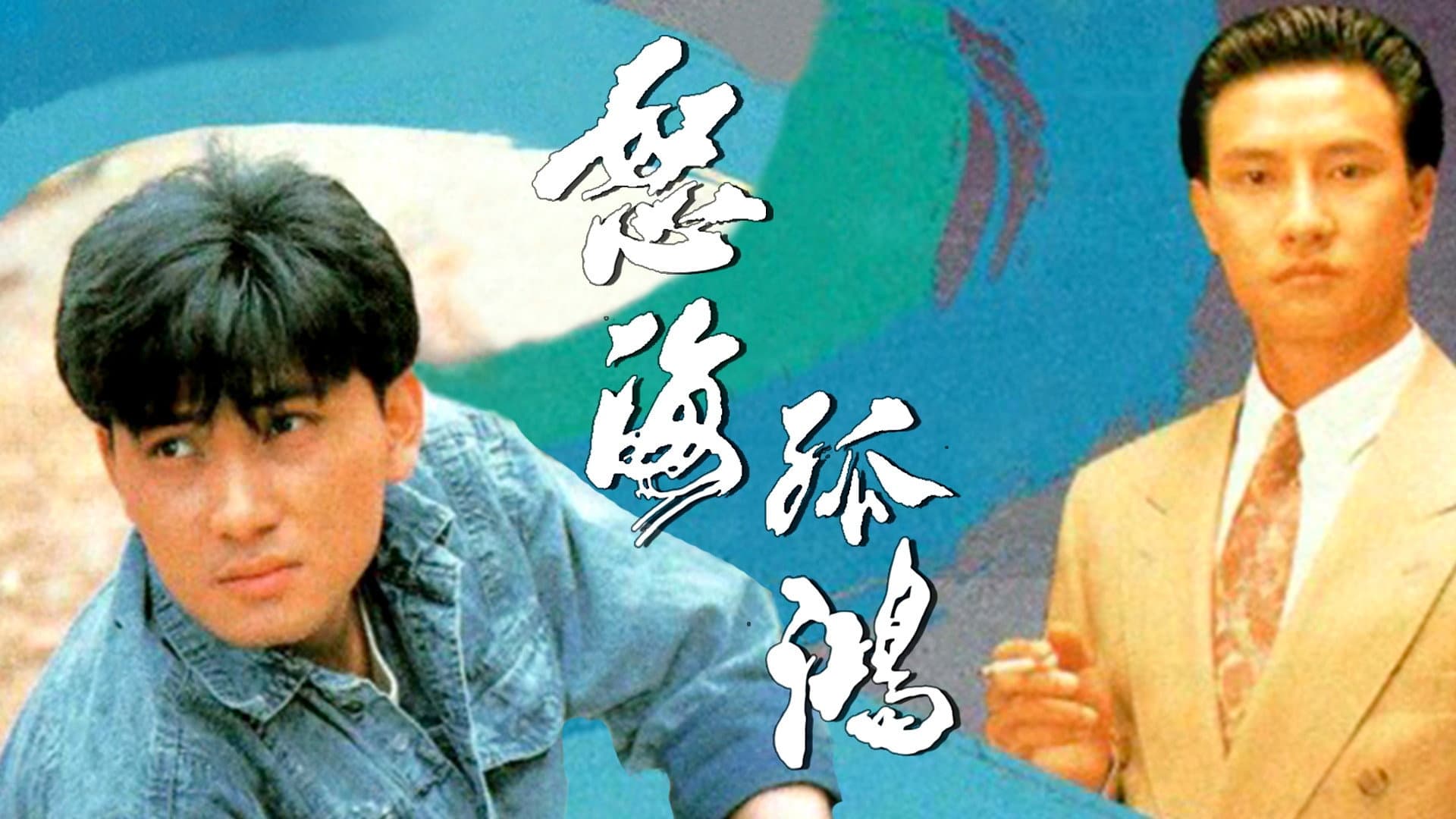 怒海孤鴻