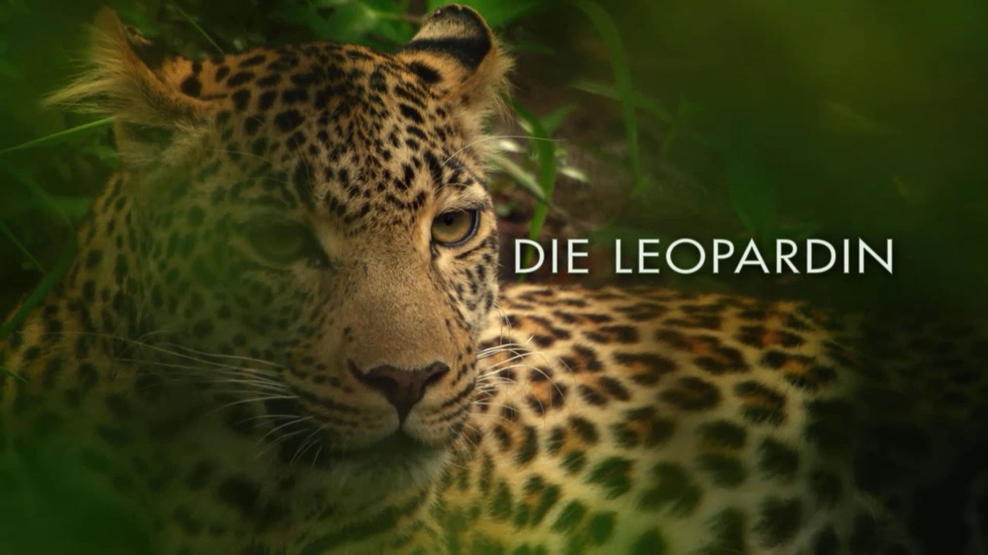 Die Leopardin
