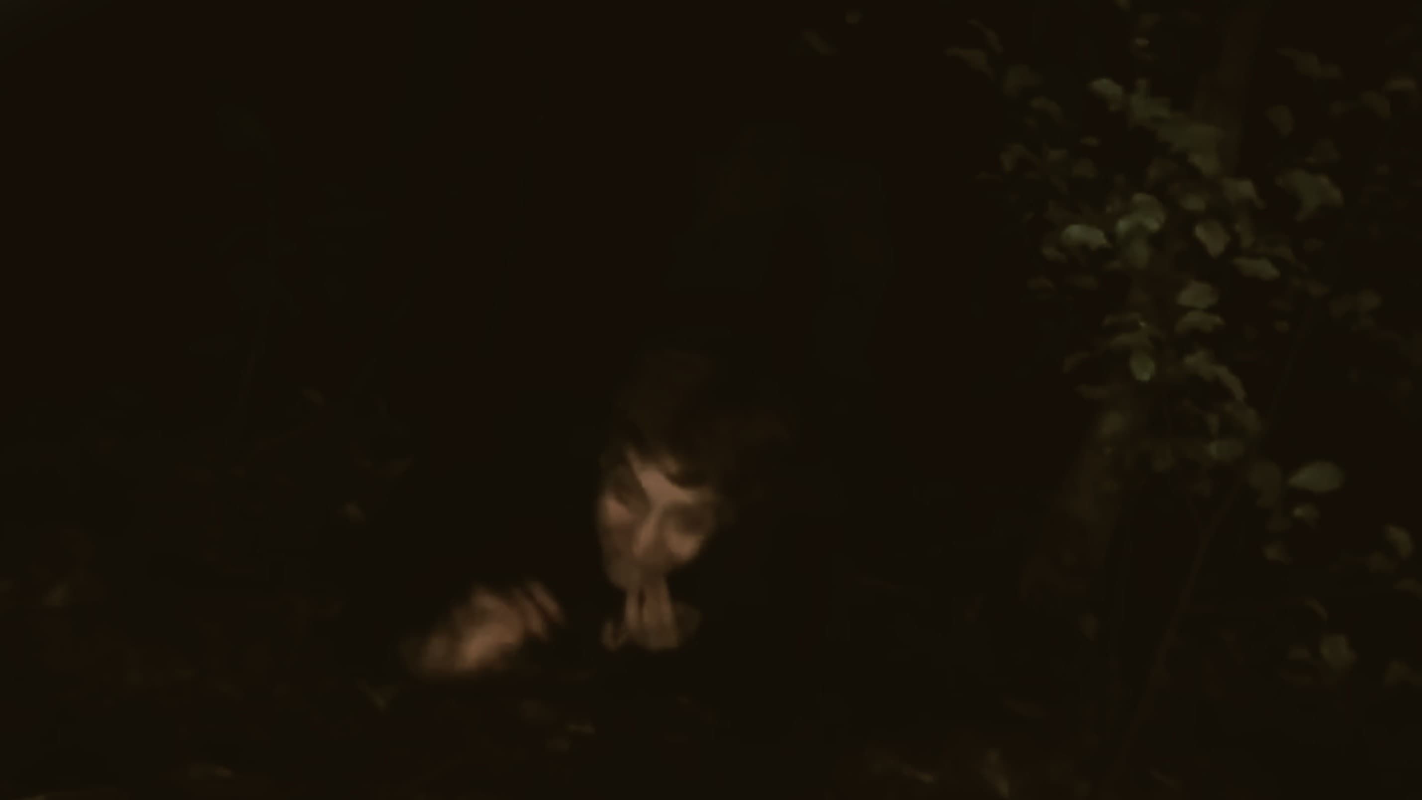3:AM...