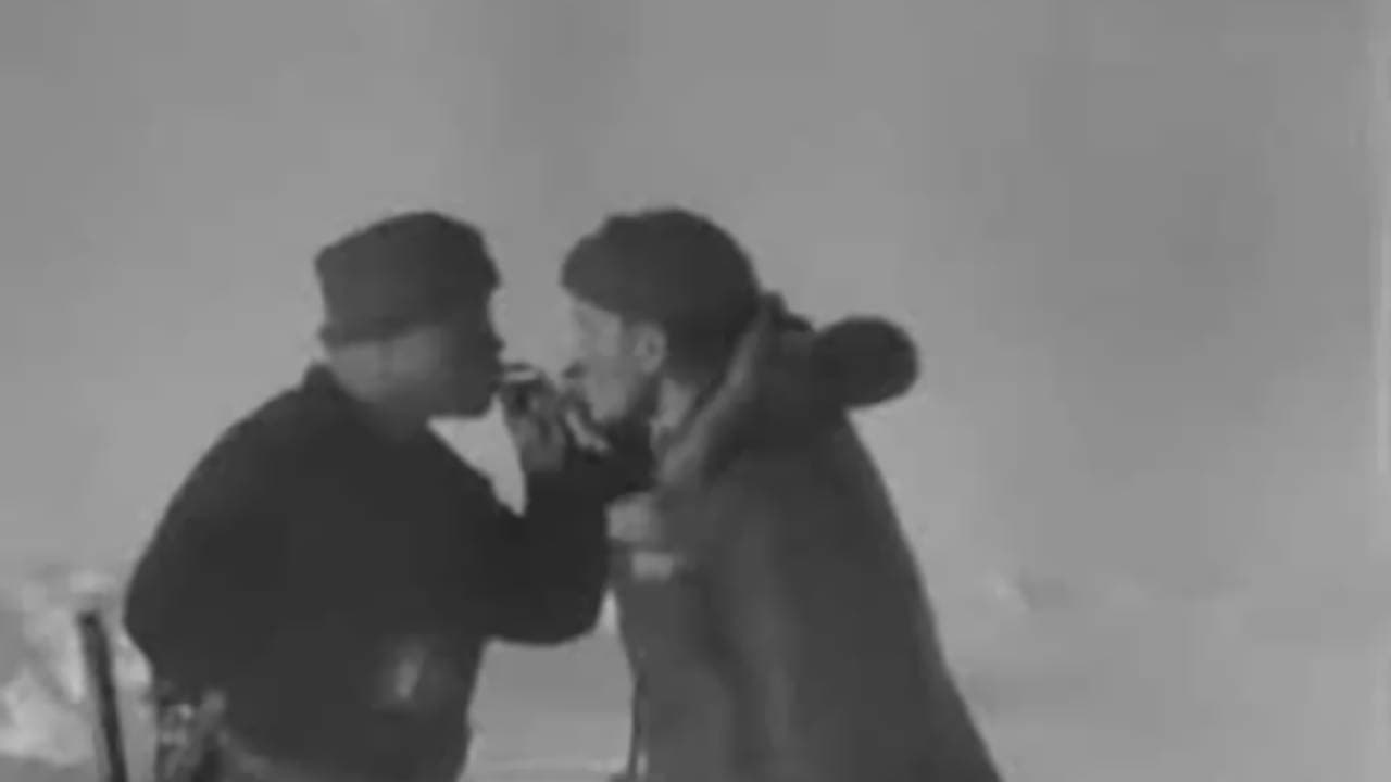 Папанинцы