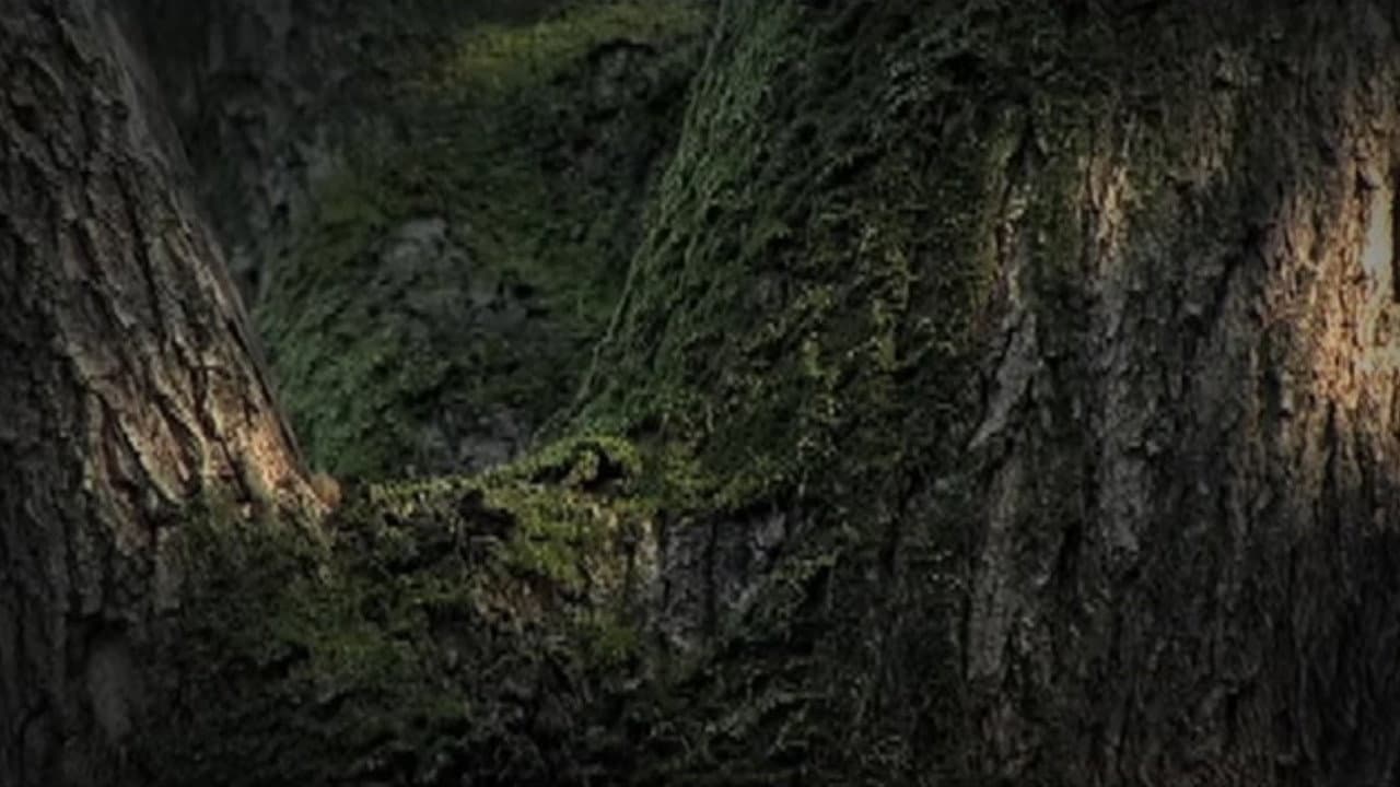 自然との対話