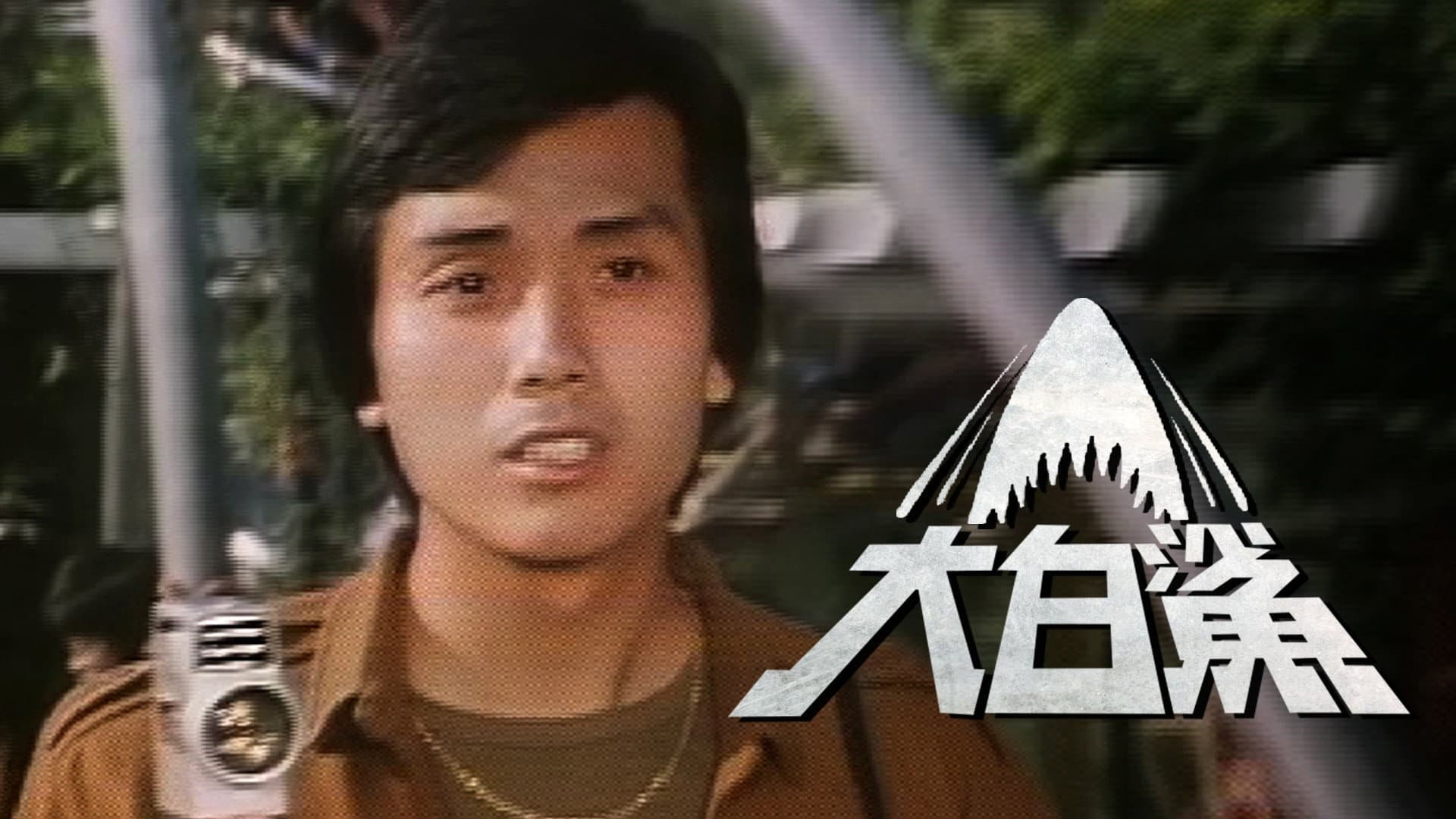 大白鯊