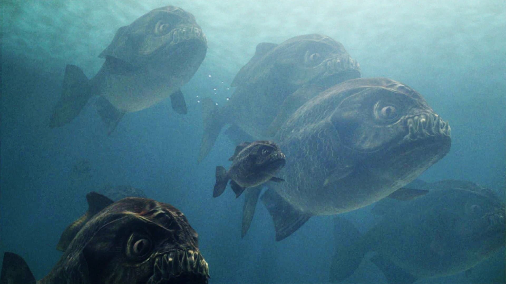 Mega pirañas