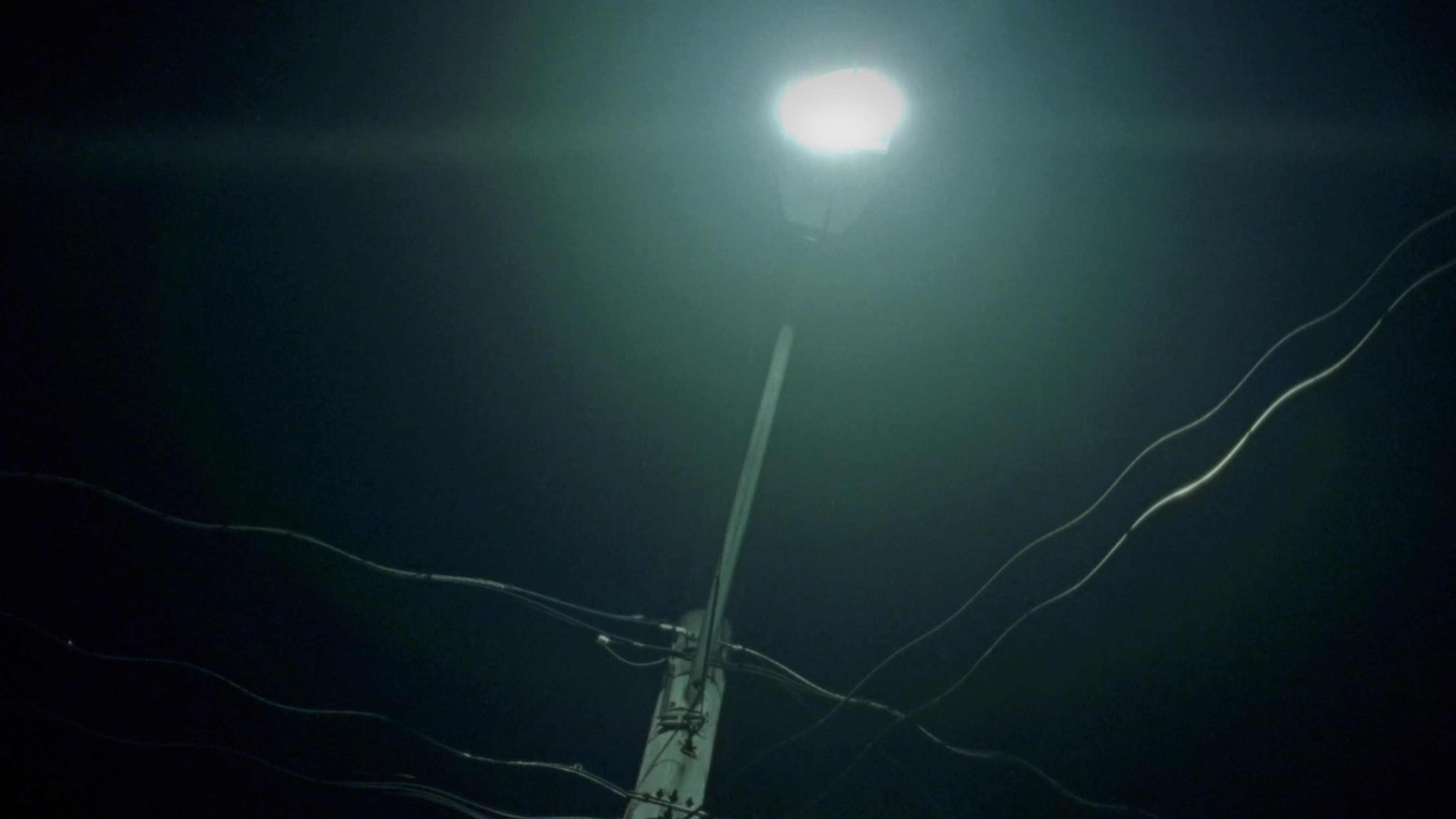 The Streetlight