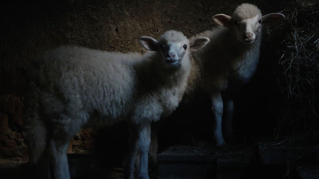 Agnus Dei