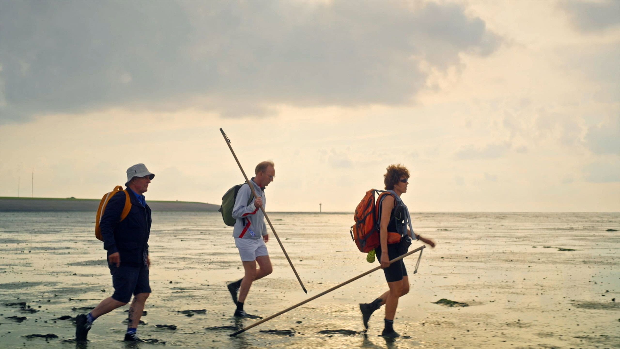 Langs de Kust