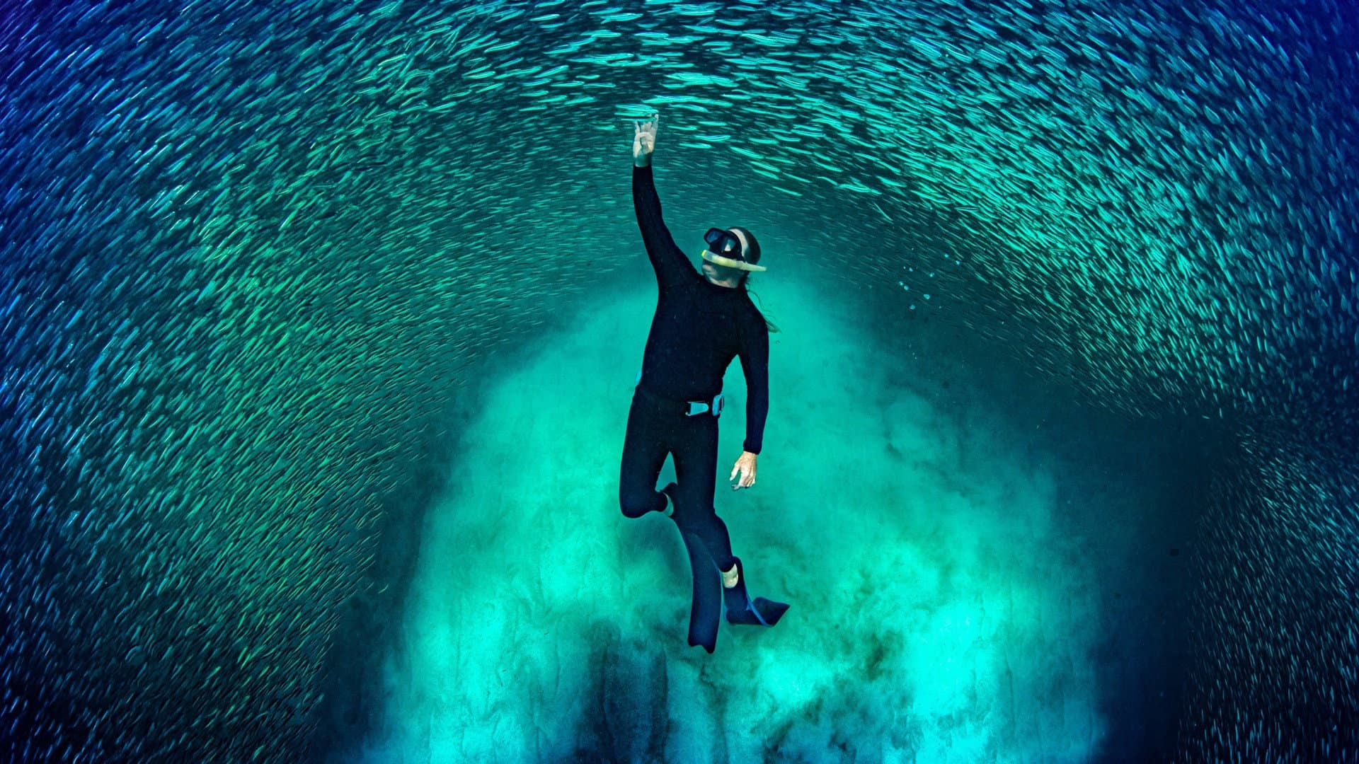 Ningaloo: la maravilla oceánica de Australia