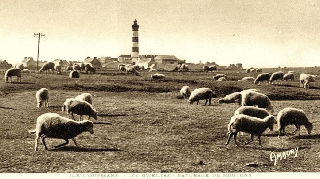 Il y avait du pétrole à Ouessant