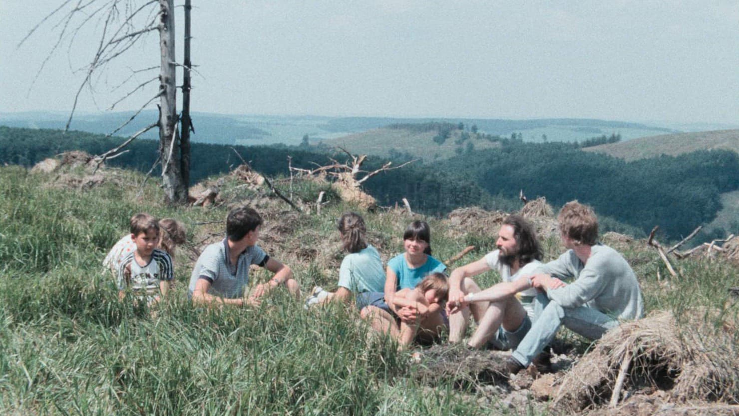 "Wer hat dich, du schöner Wald…" oder Wie ein Film verhindert wurde