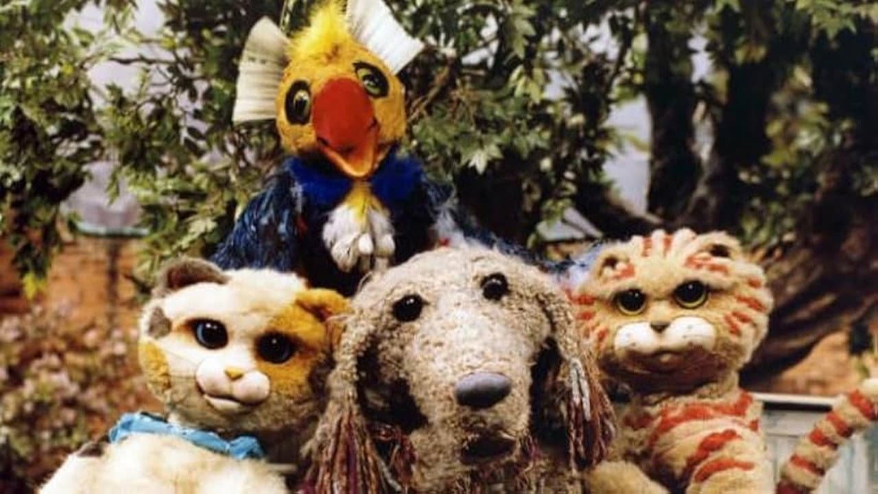 Pachá y los gatos