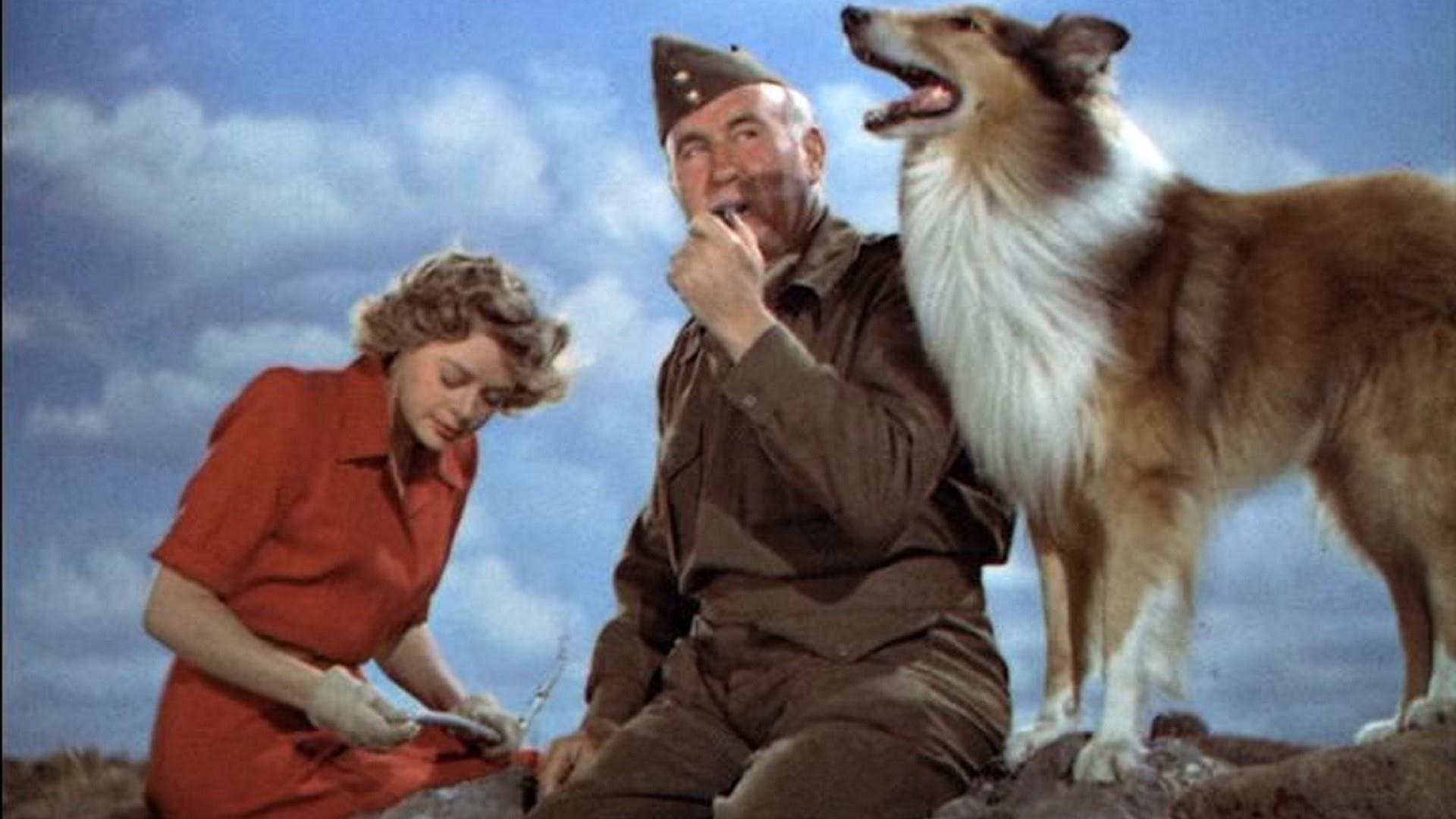 El hijo de Lassie