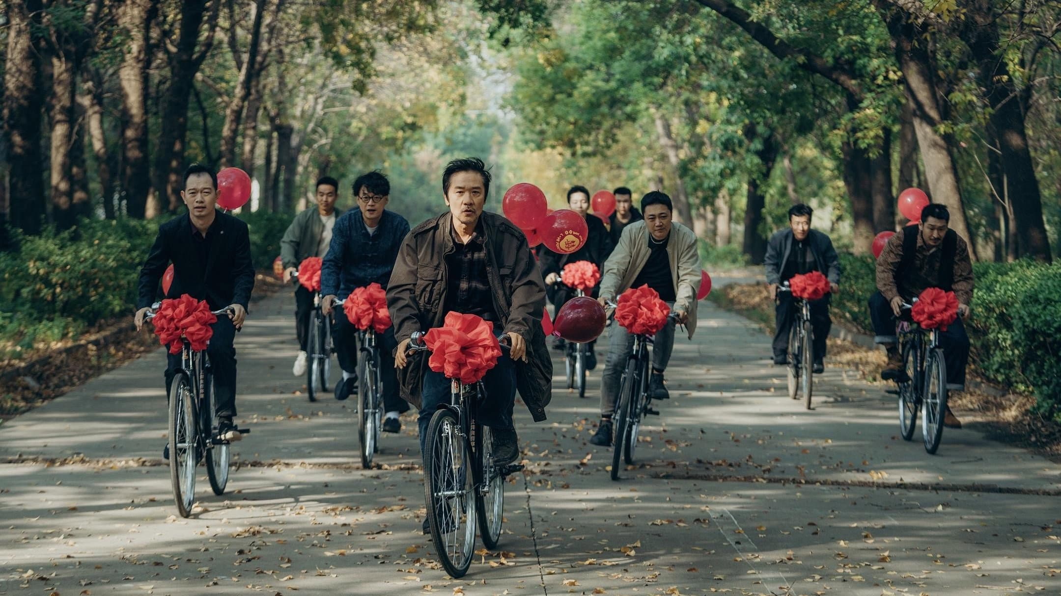 向光花盛开