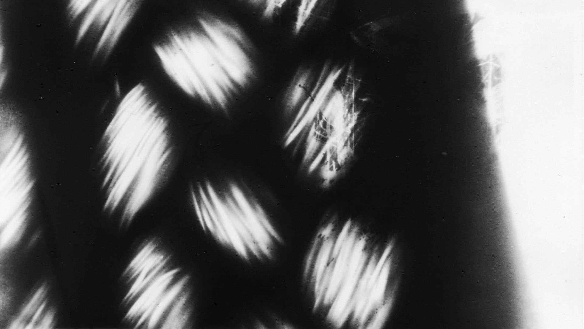 浸透画