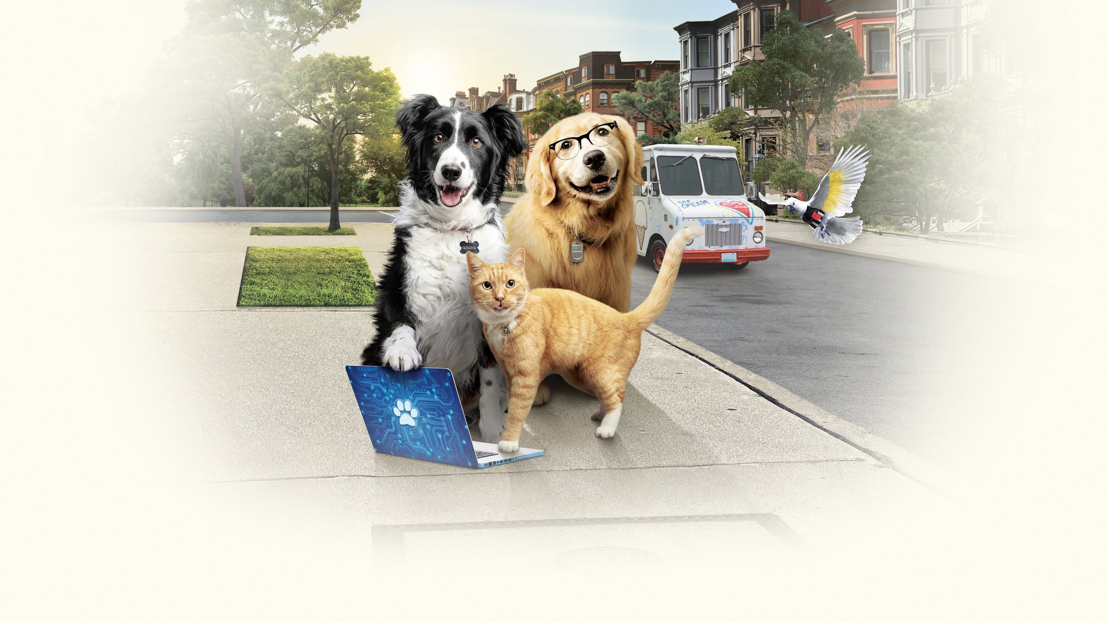 Como perros y gatos 3: Patitas unidas
