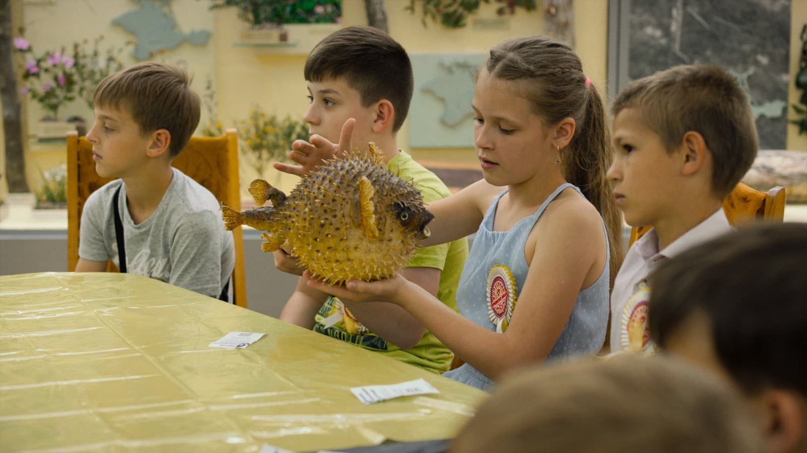 Paleontology Lesson