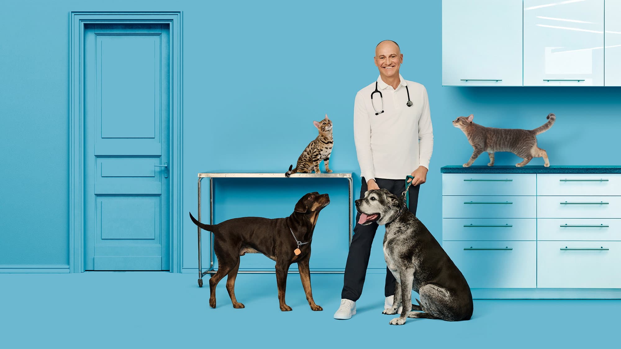 Vie de vet
