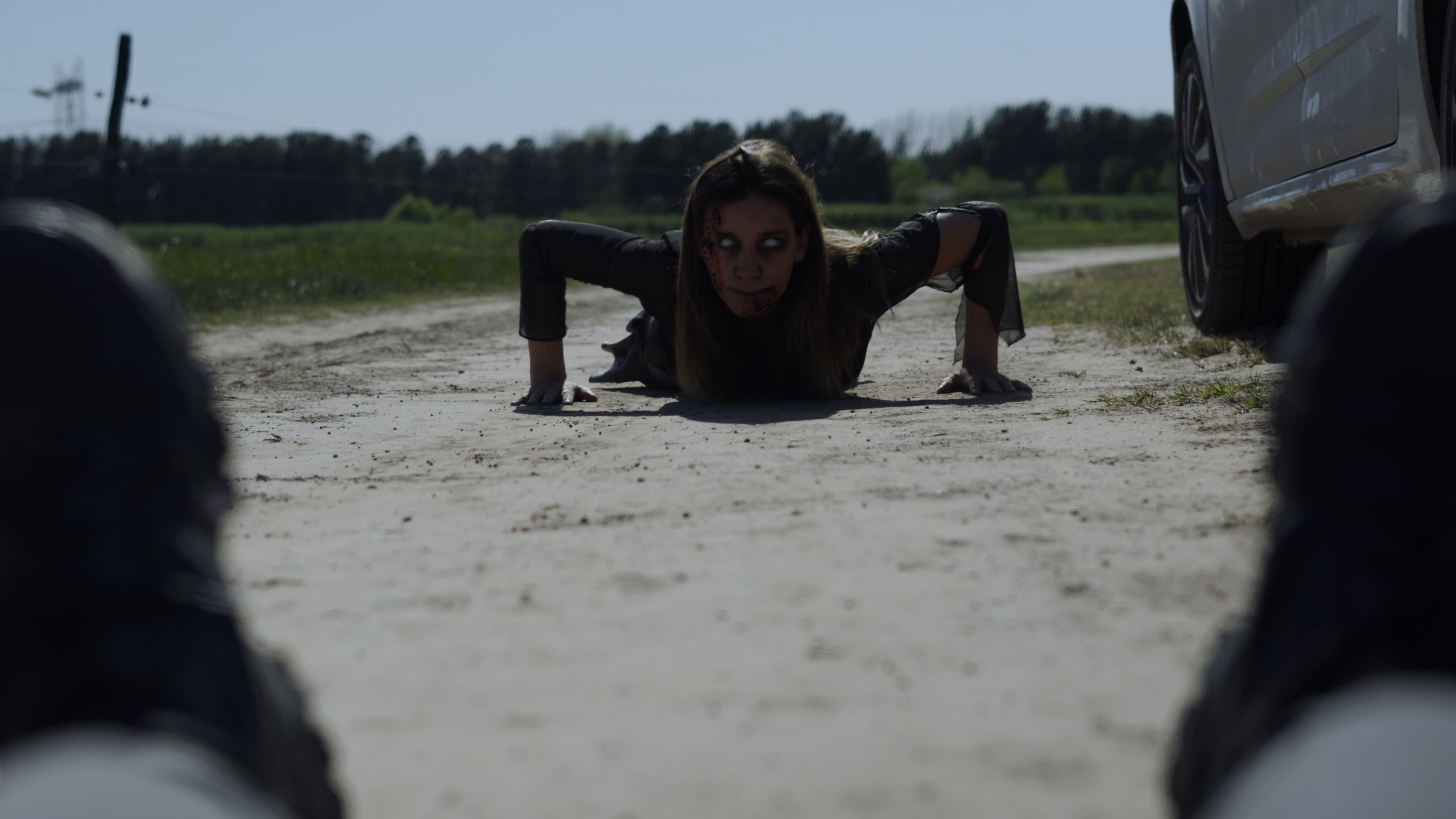 Lola contra los Zombies