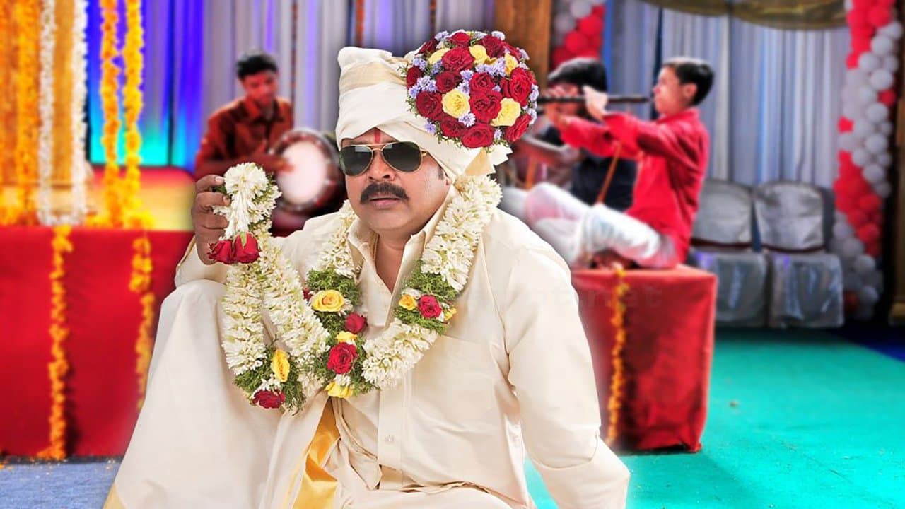 മിസ്റ്റർ മരുമകൻ