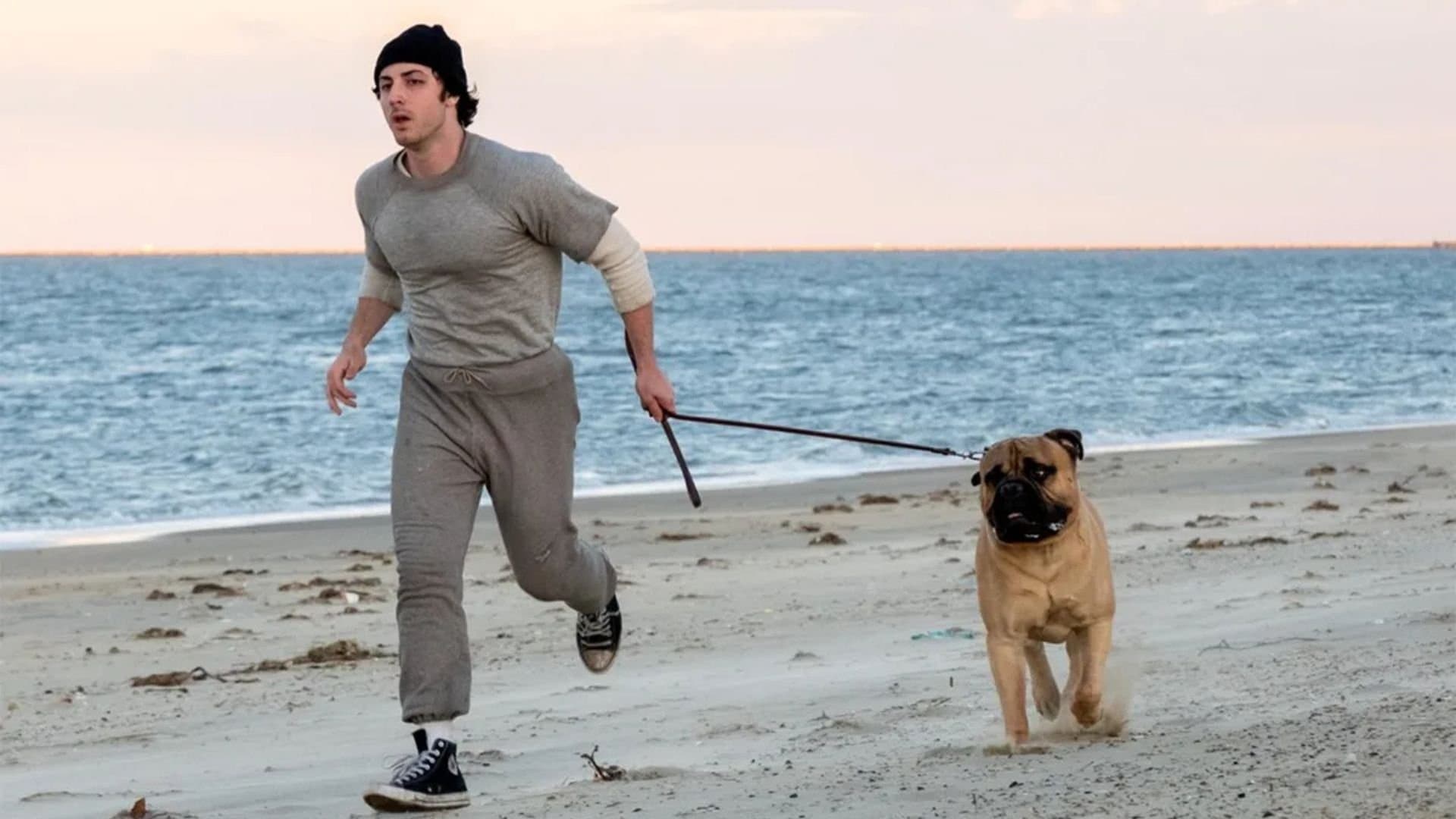 Yo Soy Rocky