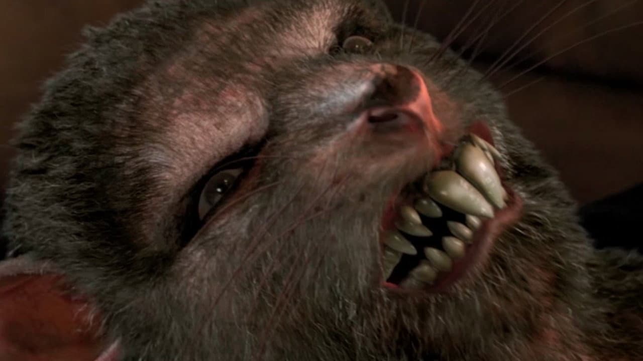 Apocalipsis de las ratas