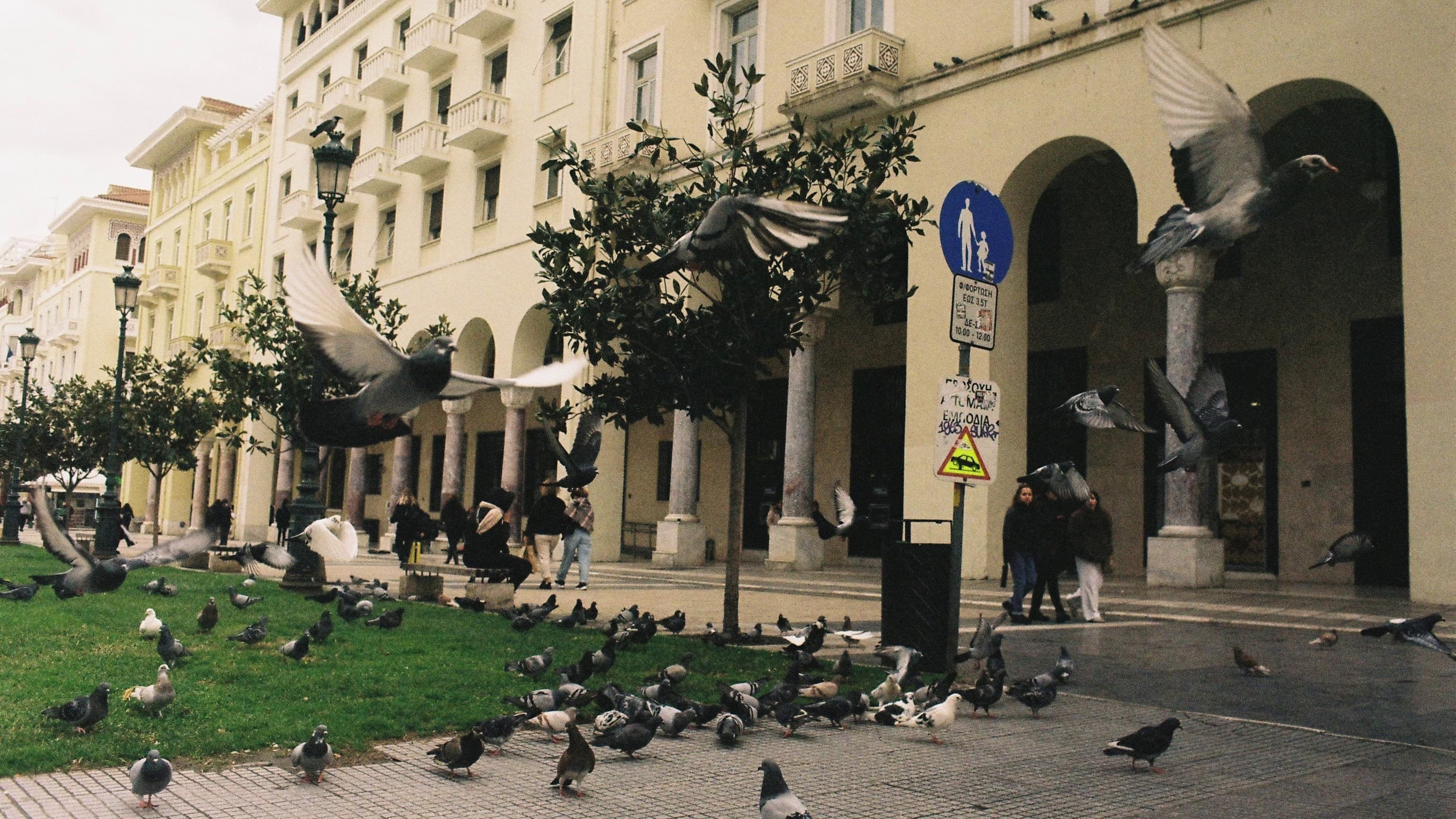 26.1.26