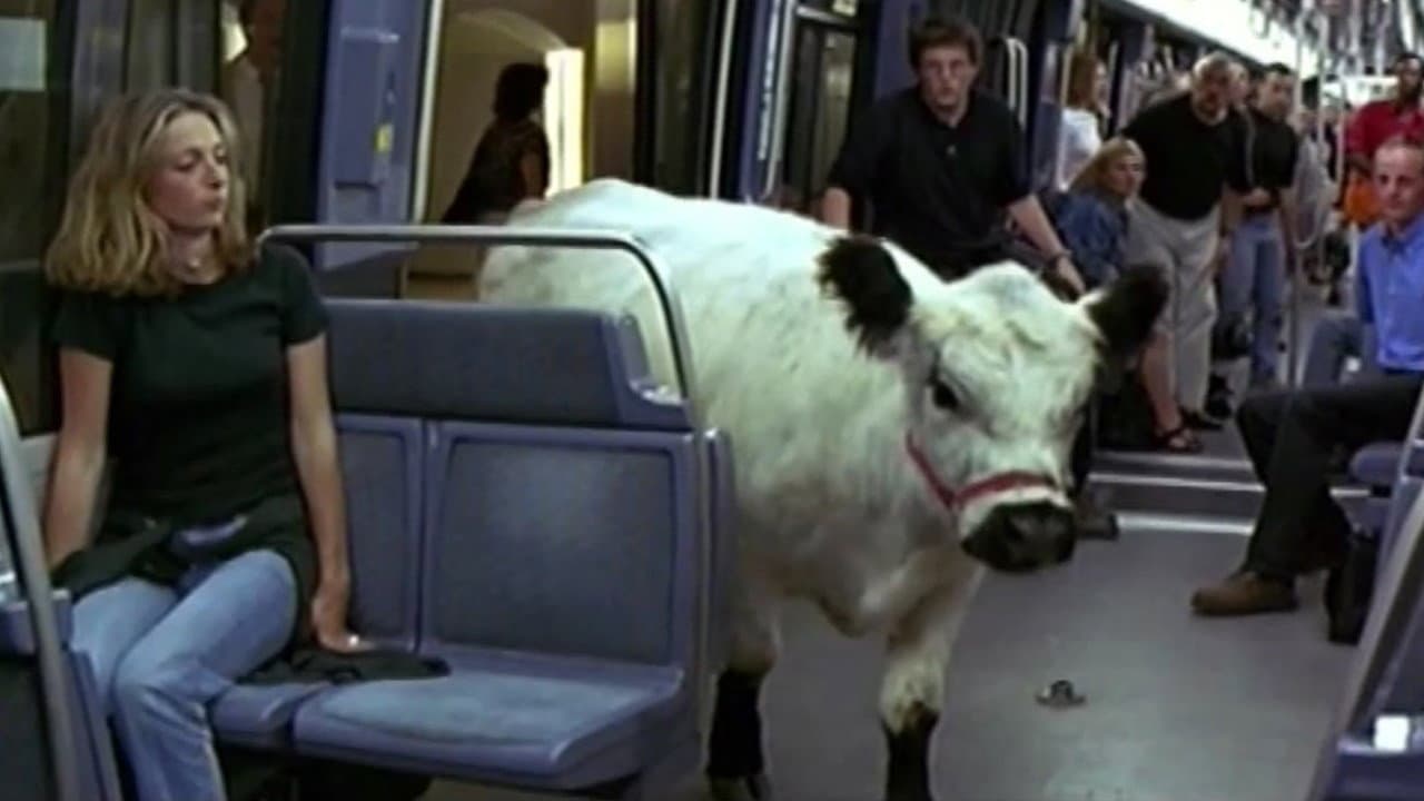 La Vache et le Président
