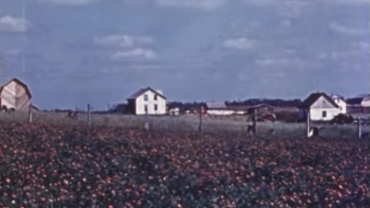 Sainte Anne de Roquemaure: Un épilogue à En pays neufs