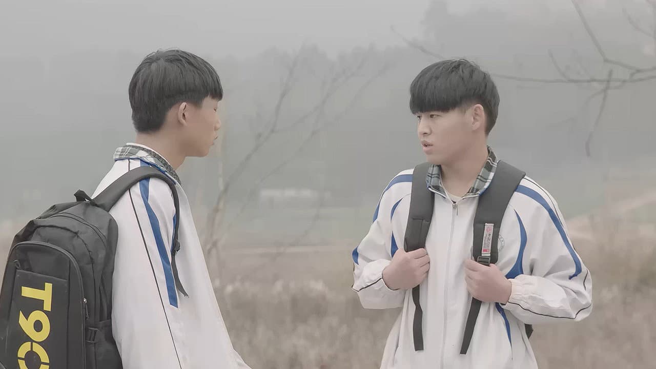朦胧的青春