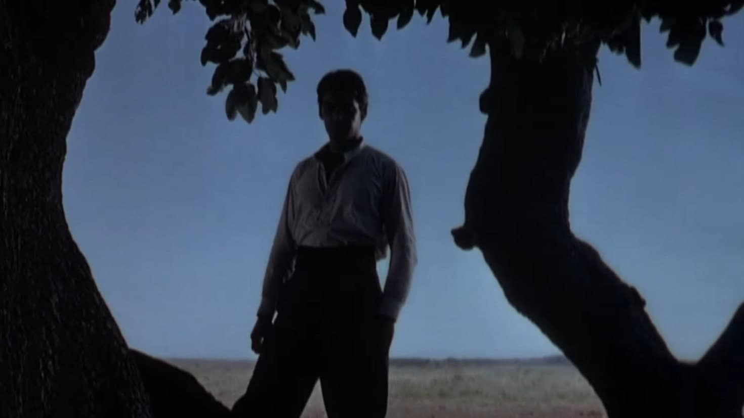 El camino del gaucho