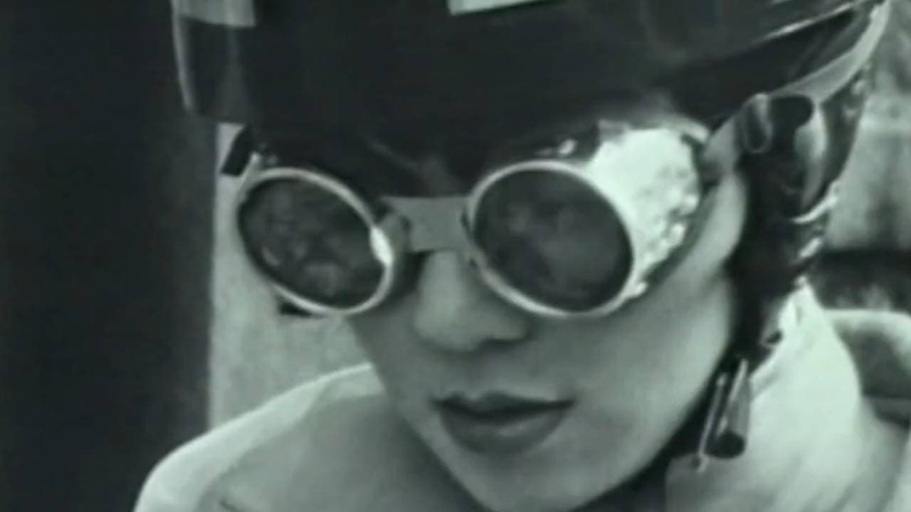 女王陛下のポリエステル犬