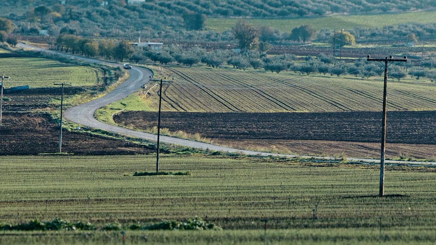 Μικρό Σώμα