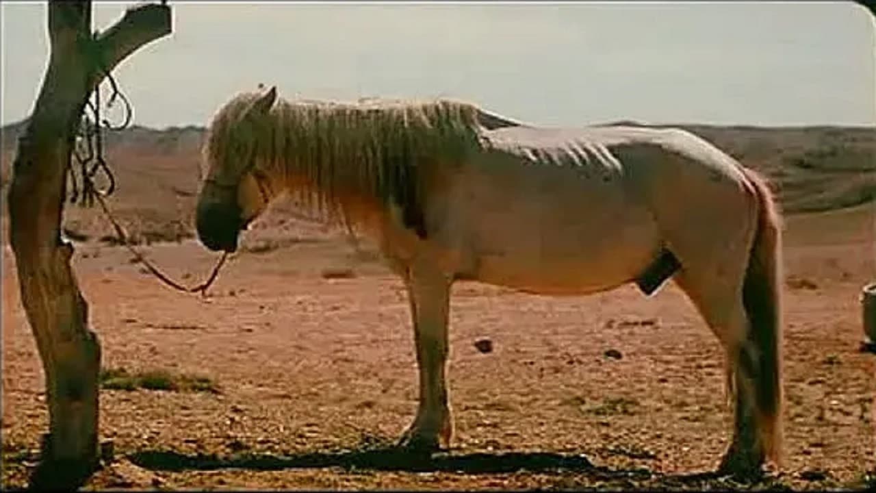 季风中的马