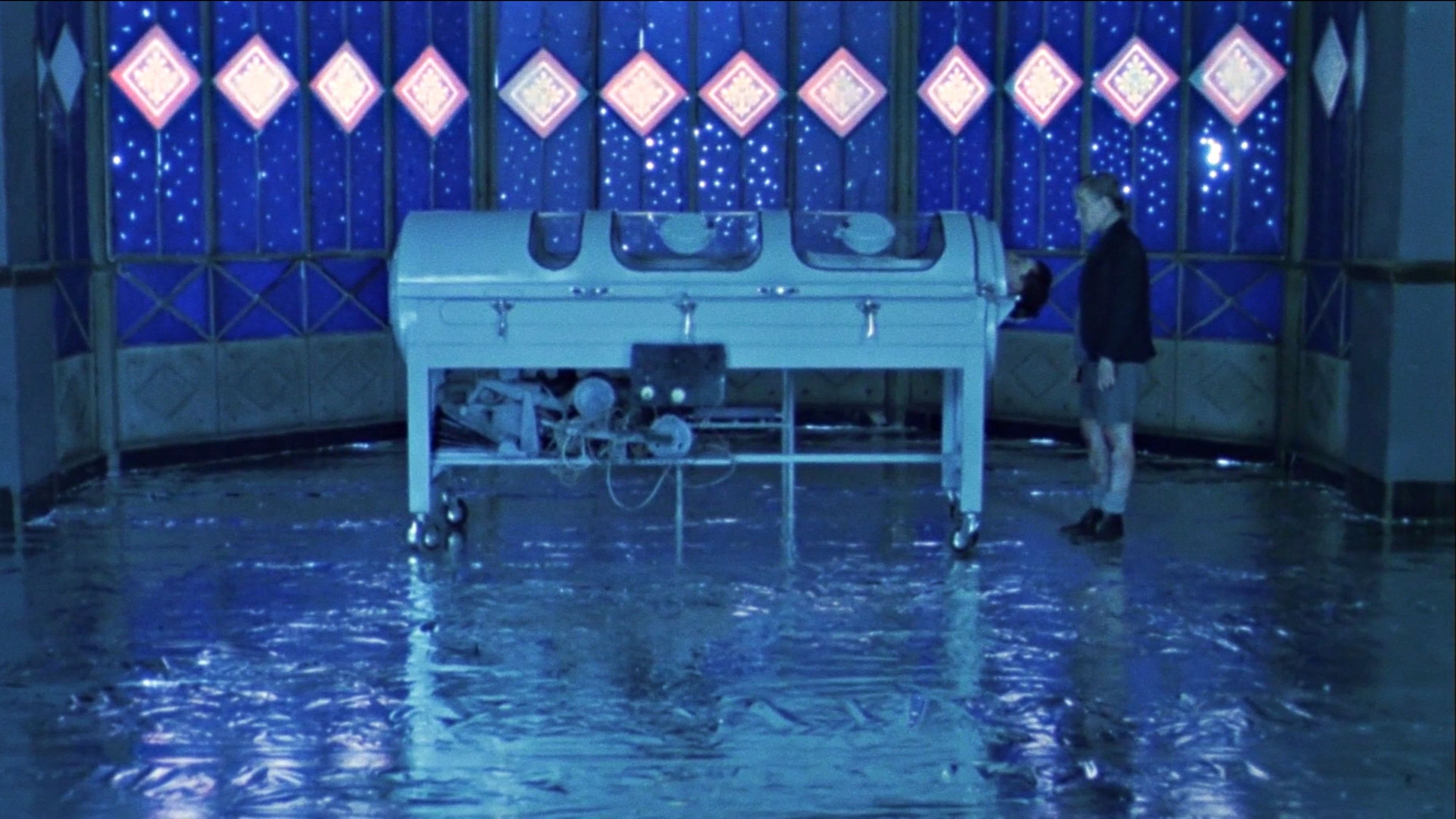 Tras el cristal