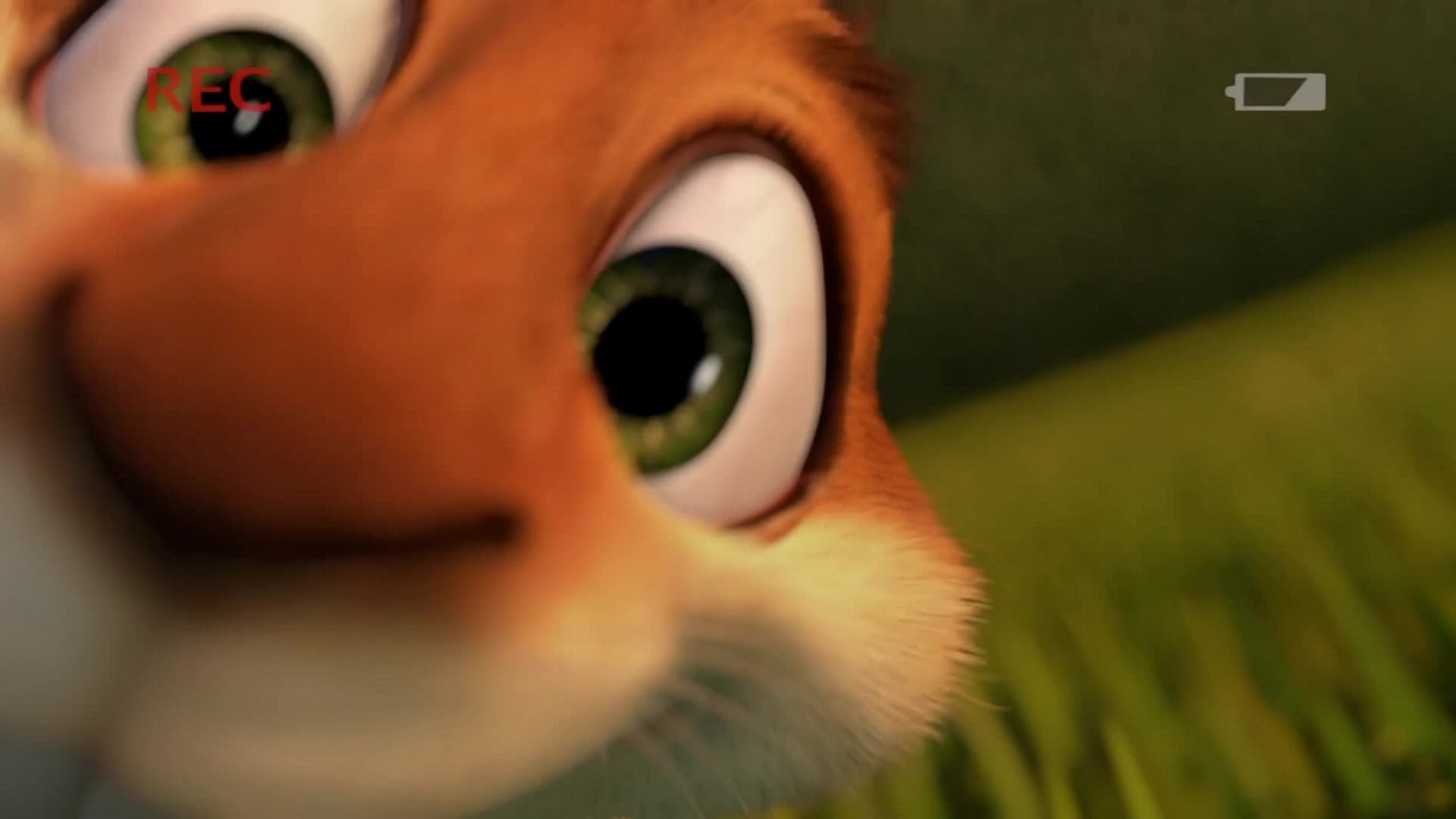 La Aventura del Hammy y su Boomerang