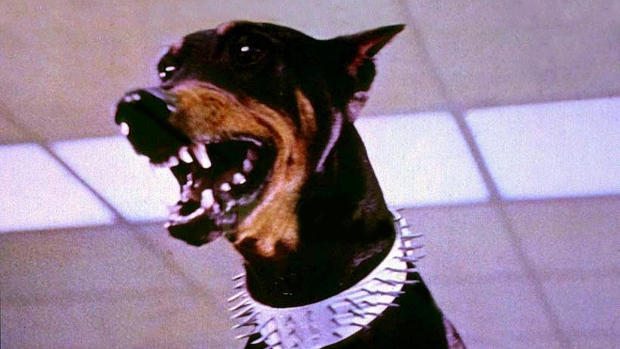 La banda de los doberman