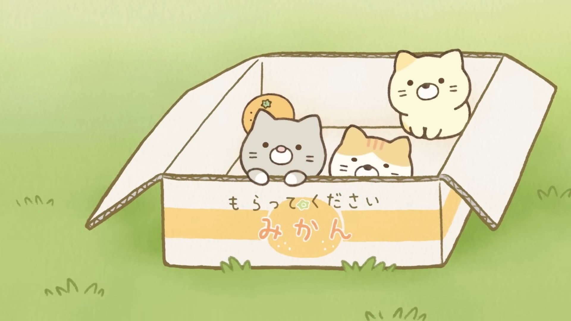 アニメ すみっコぐらし そらいろのまいにち