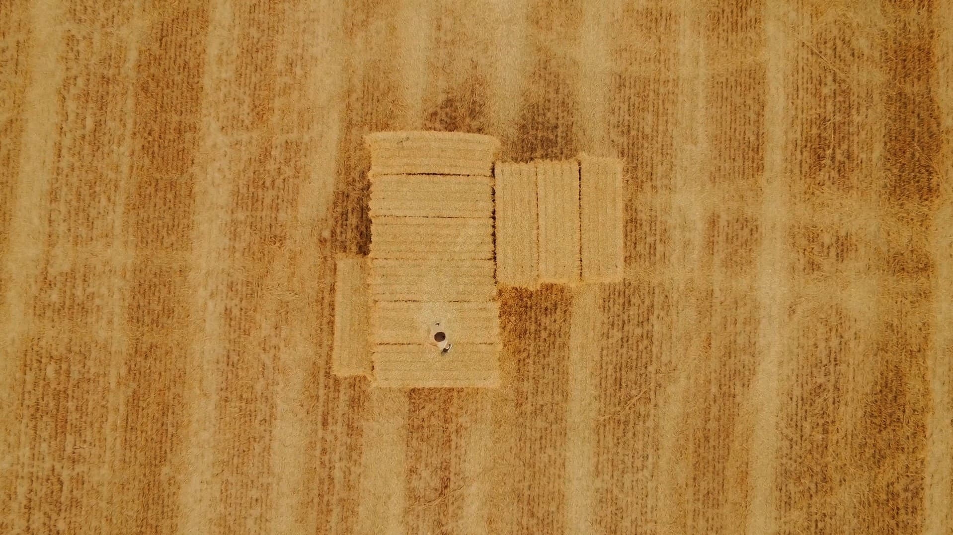 Katsu