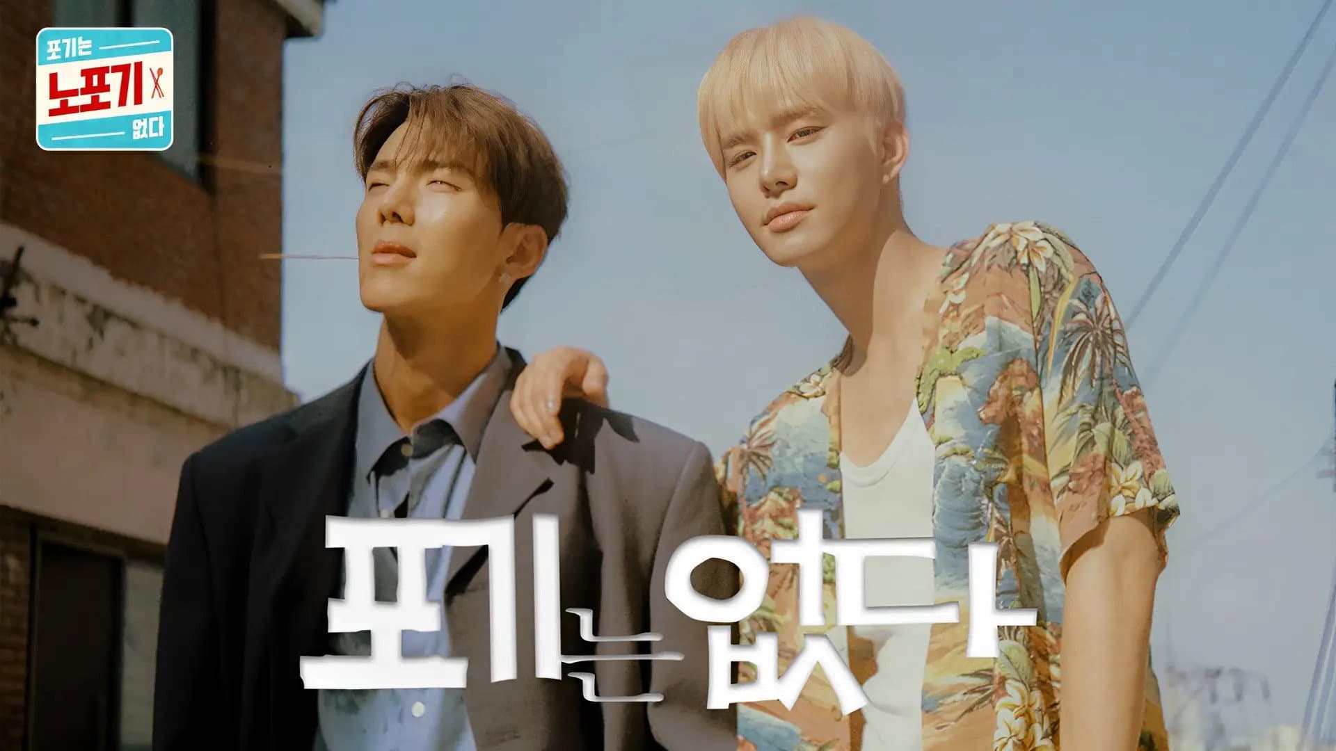 노포기