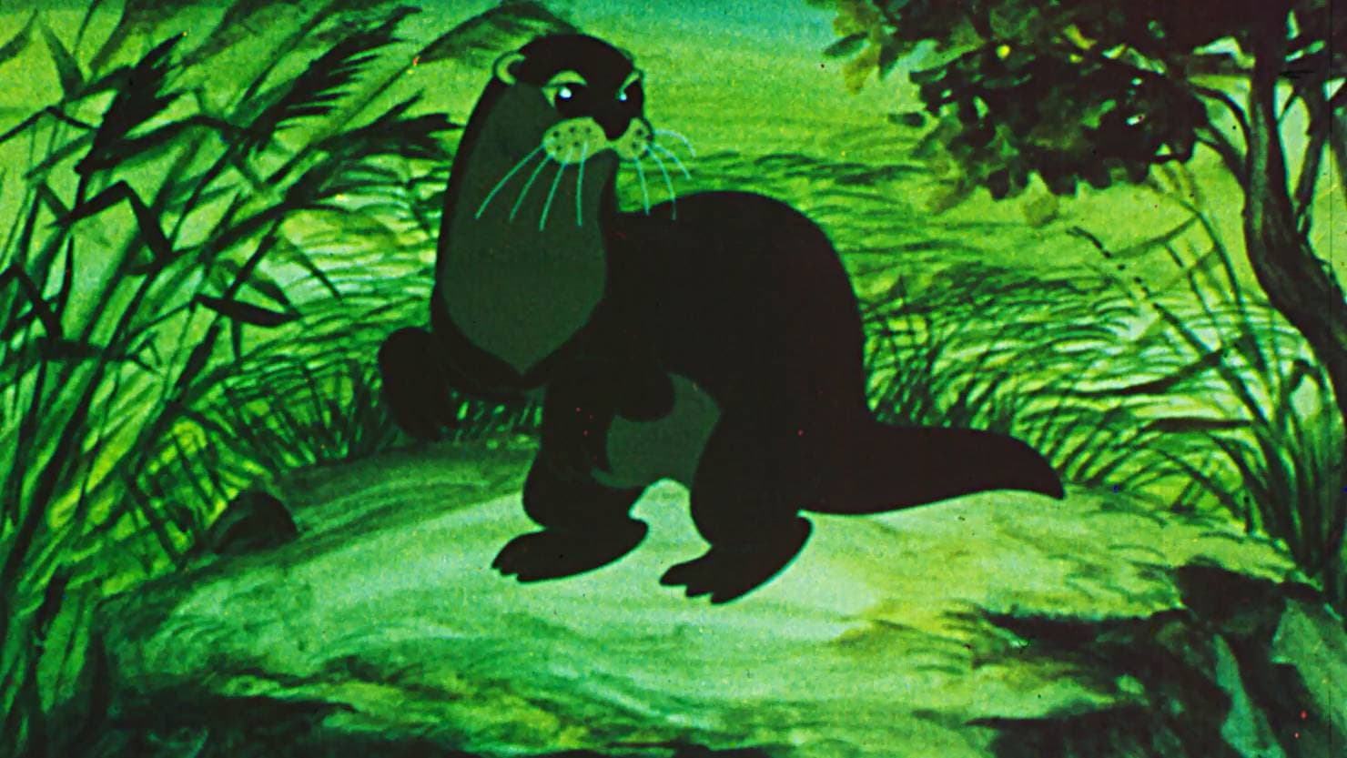 Комино