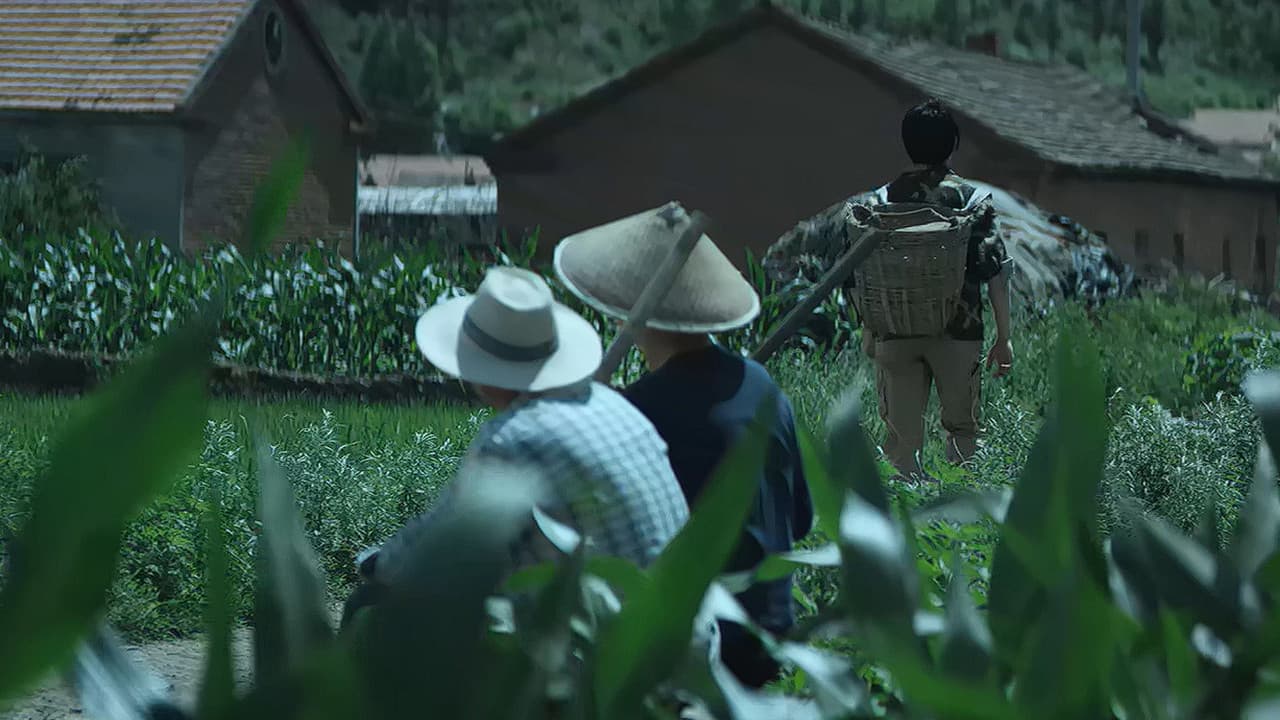 疯狂的快递
