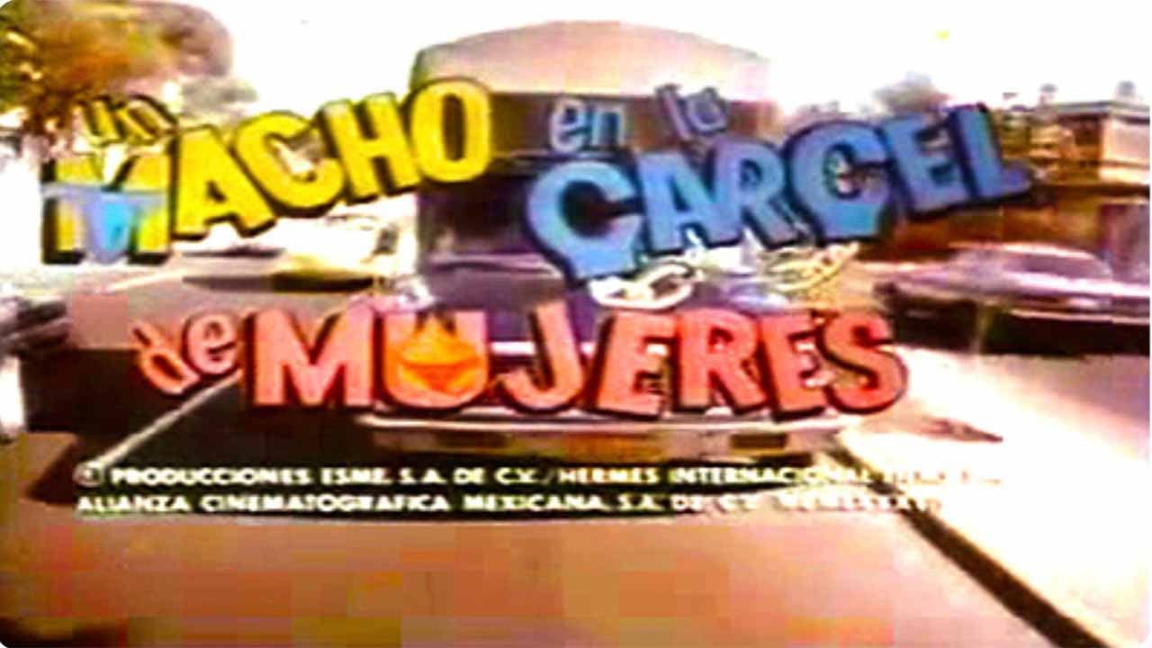 Un macho en... - Colección